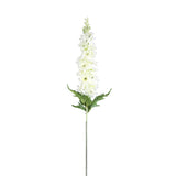 Delphinium Flower White Spray With Leaves