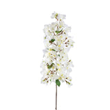 Garden Flower White Bougainvillea Hanging