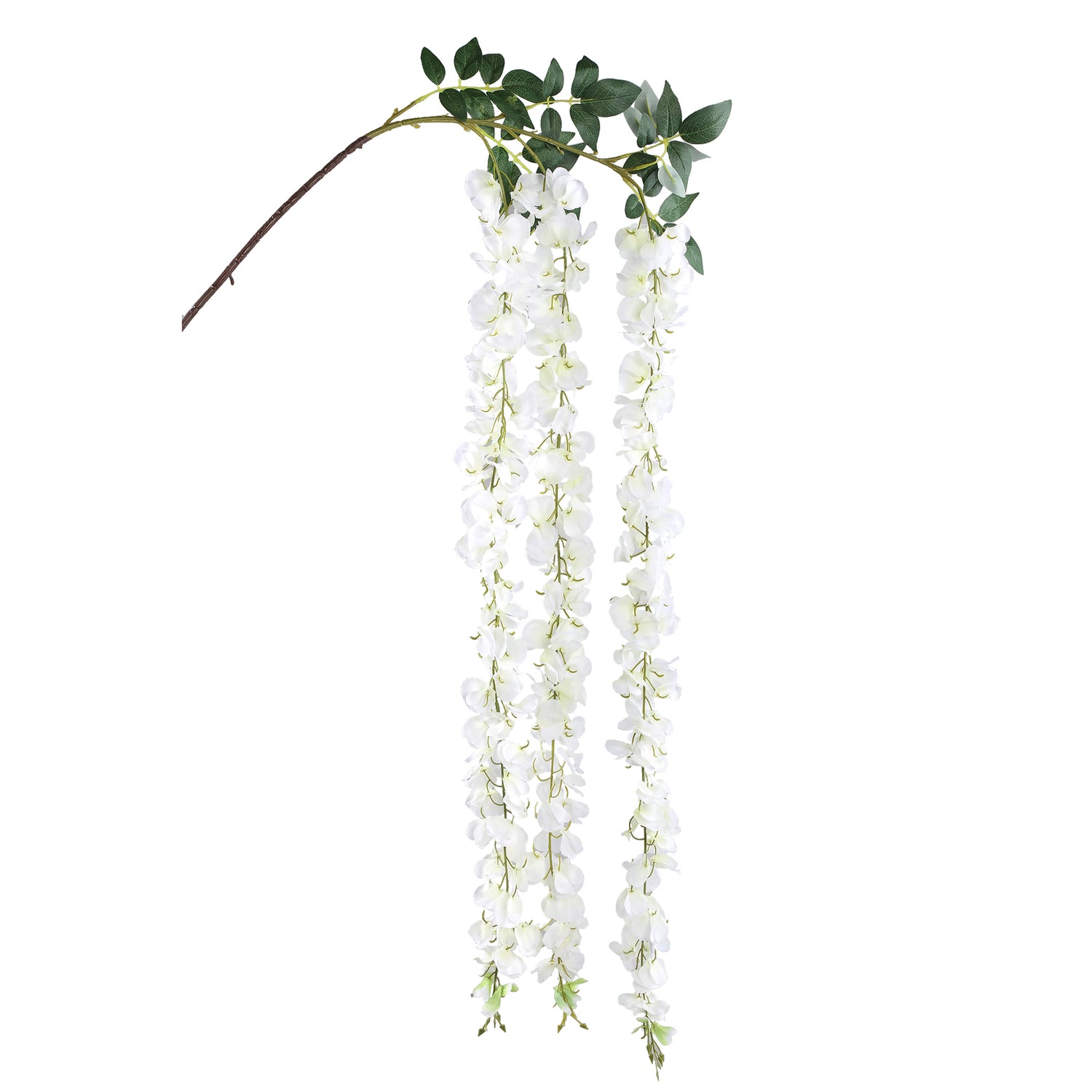 Garden Flower White Wisteria Flower Hanging