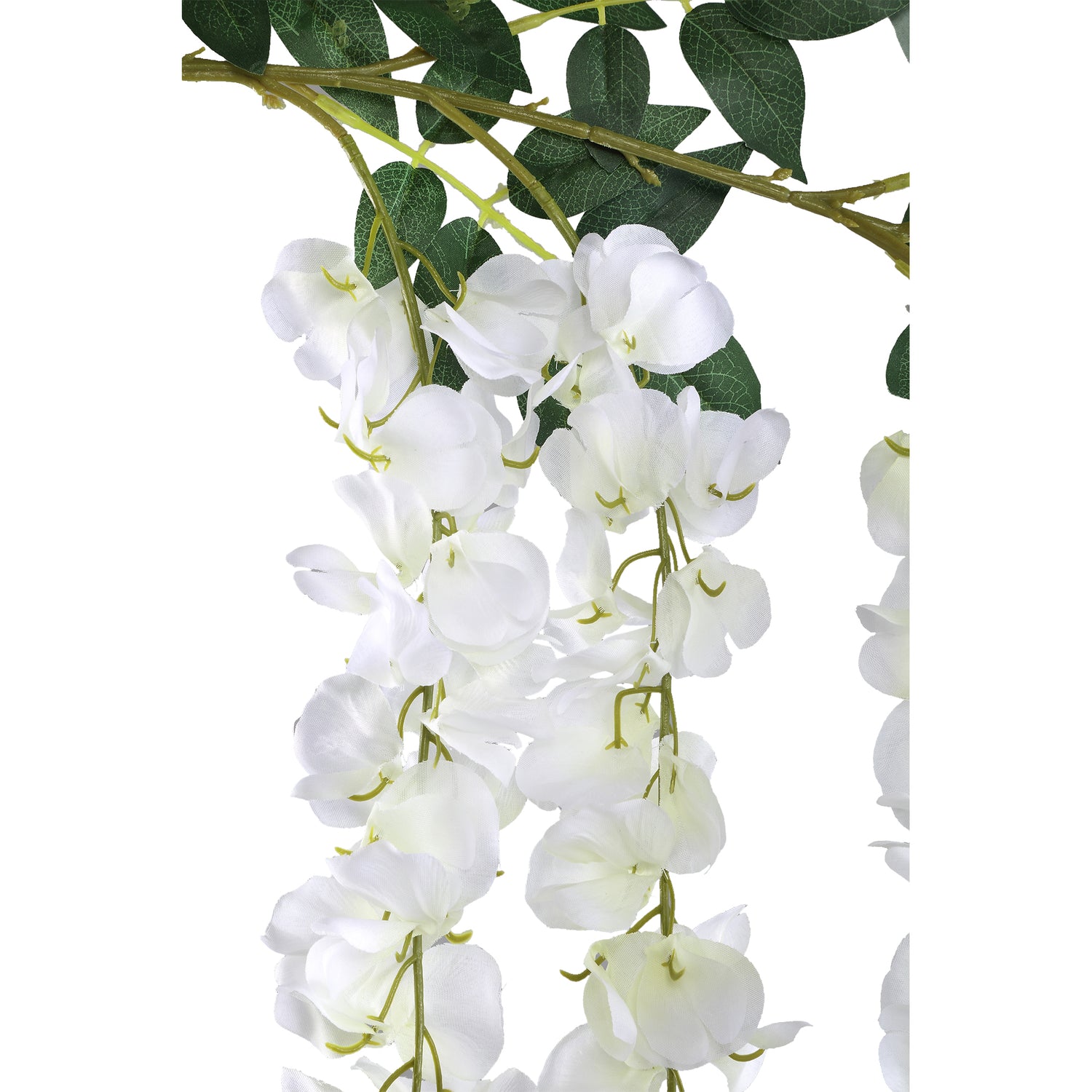 Garden Flower White Wisteria Flower Hanging