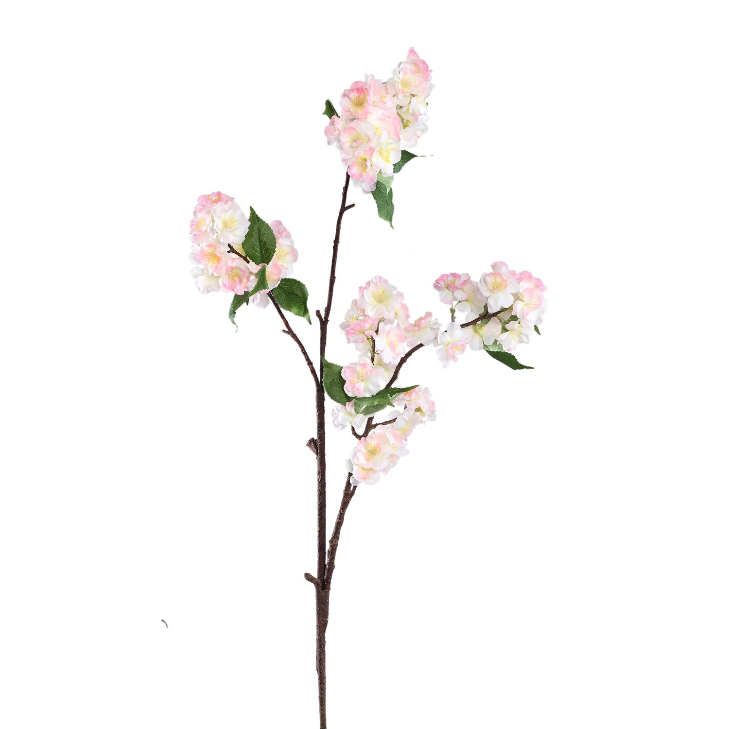 Blossom Flower Cream Pink Cherry Blossom Spray