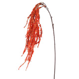 Twig Plant Orange Amaranthus Hanging Spray