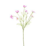 Garden Flower Pink Cosmos Spray With Buds
