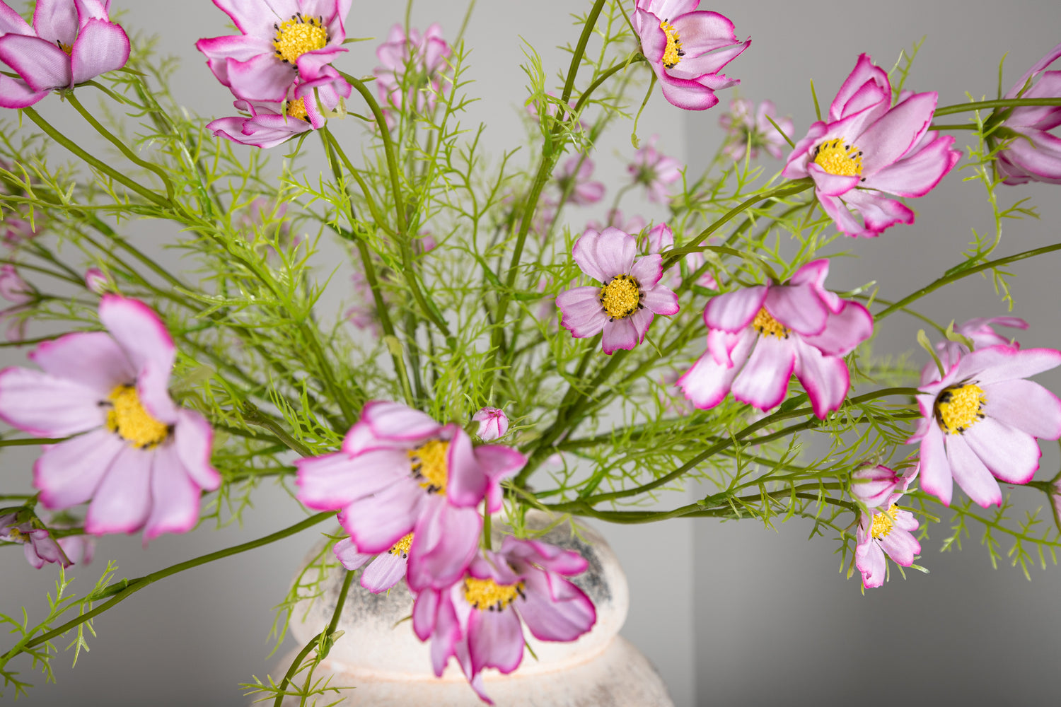 Garden Flower Pink Cosmos Spray With Buds