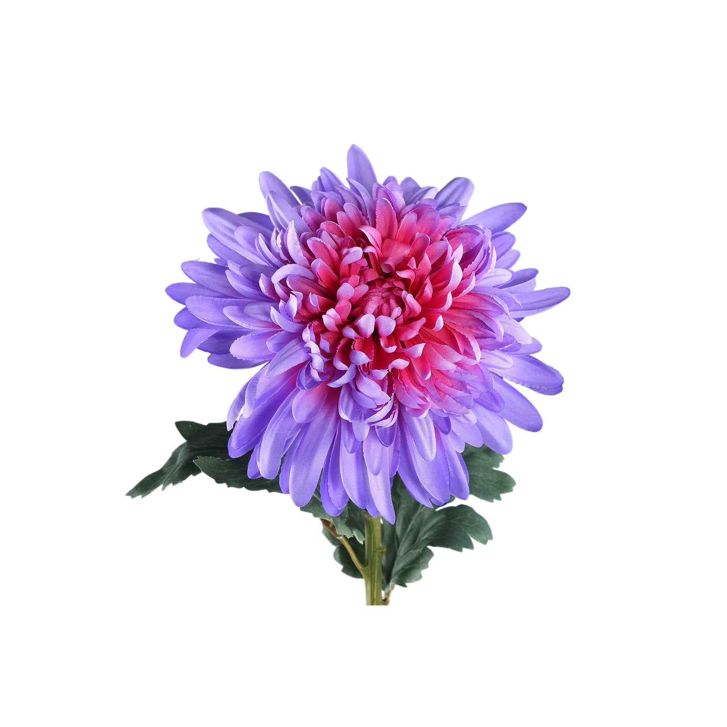 Garden Flower Purple Mum Spray