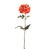 Dahlia Flower Red/yellow Dahlia Spray With Leaves