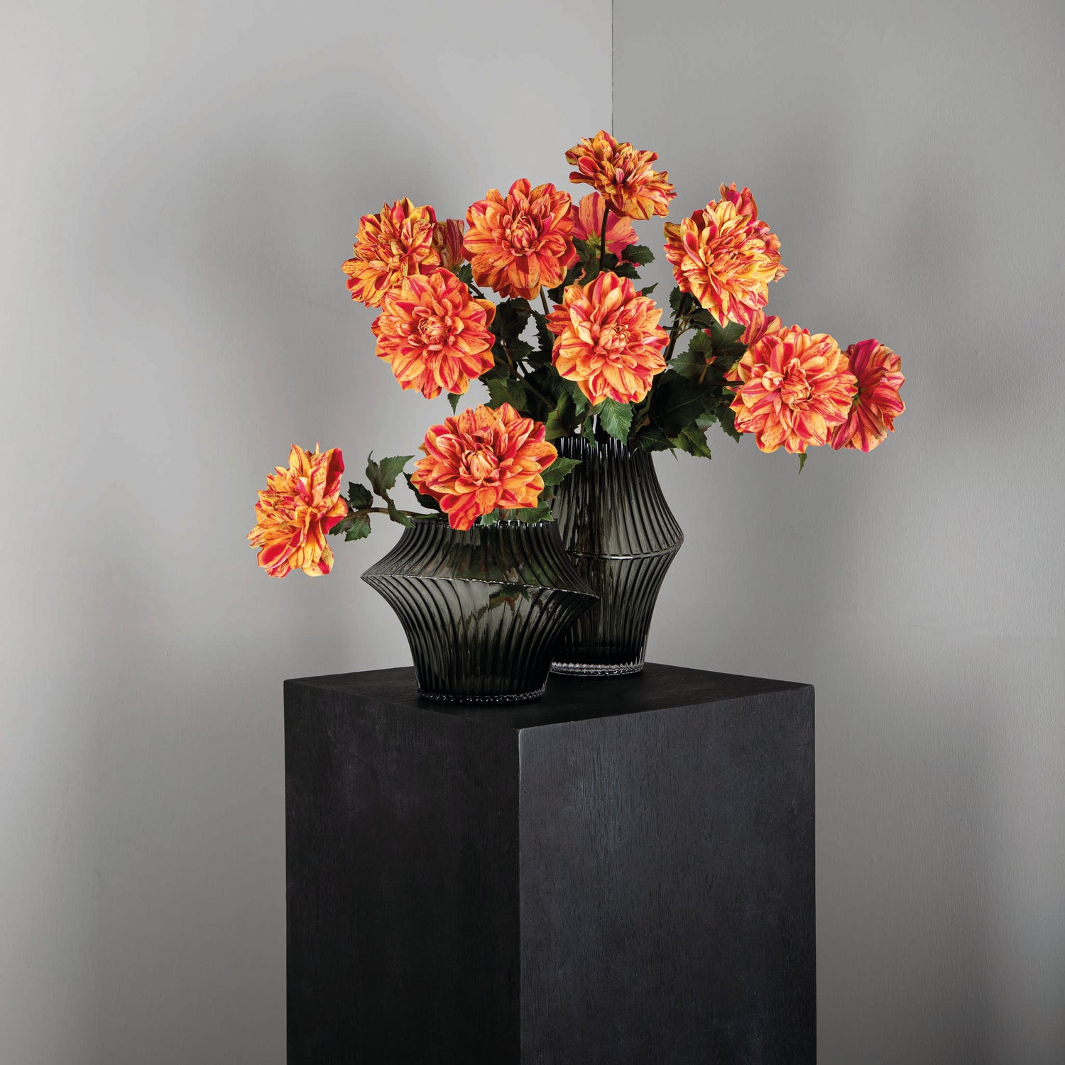 Dahlia Flower Red/yellow Dahlia Spray With Leaves