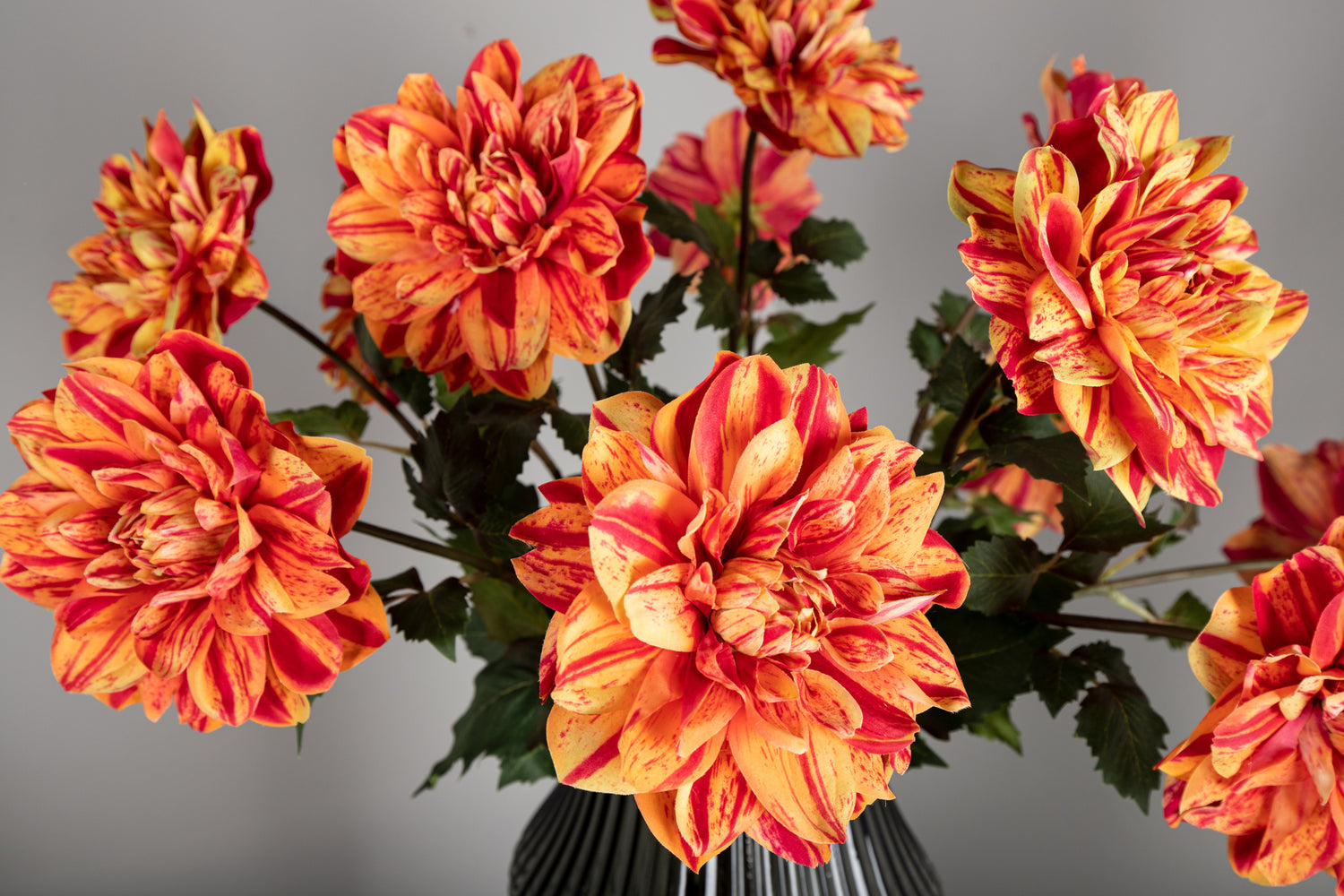 Dahlia Flower Red/yellow Dahlia Spray With Leaves