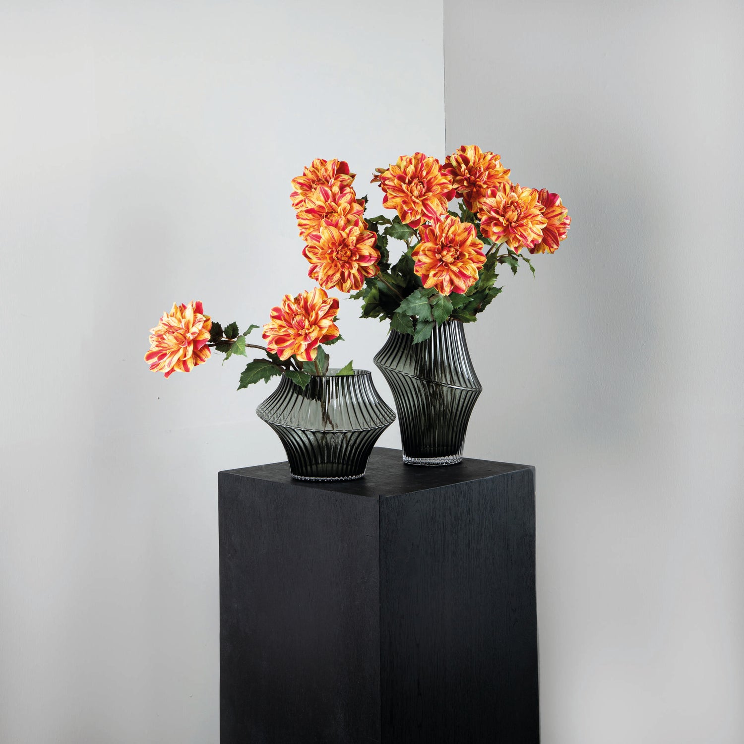 Dahlia Flower Yellow Dahlia Spray With Leaves