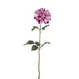 Dahlia Flower Purple Dahlia Spray With Leaves