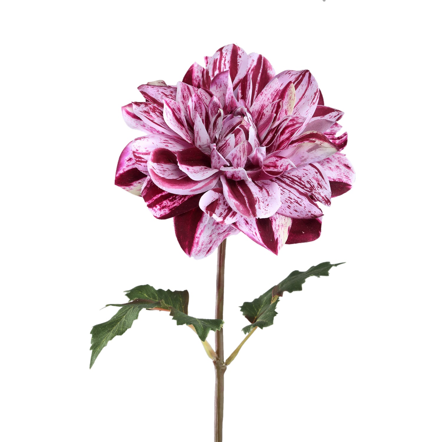 Dahlia Flower Purple Dahlia Spray With Leaves
