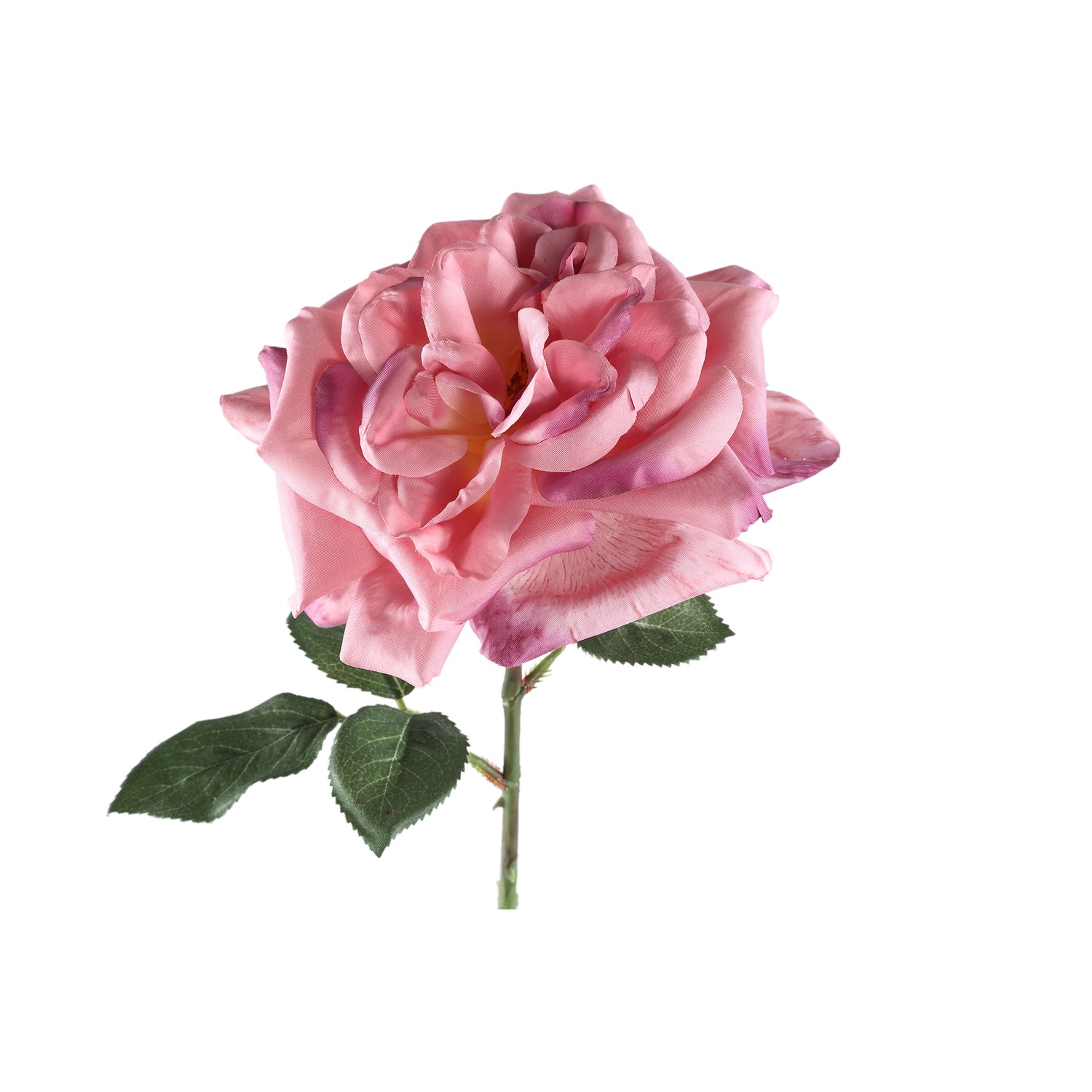 Rose Flower Pink Rose Spray With Leaves