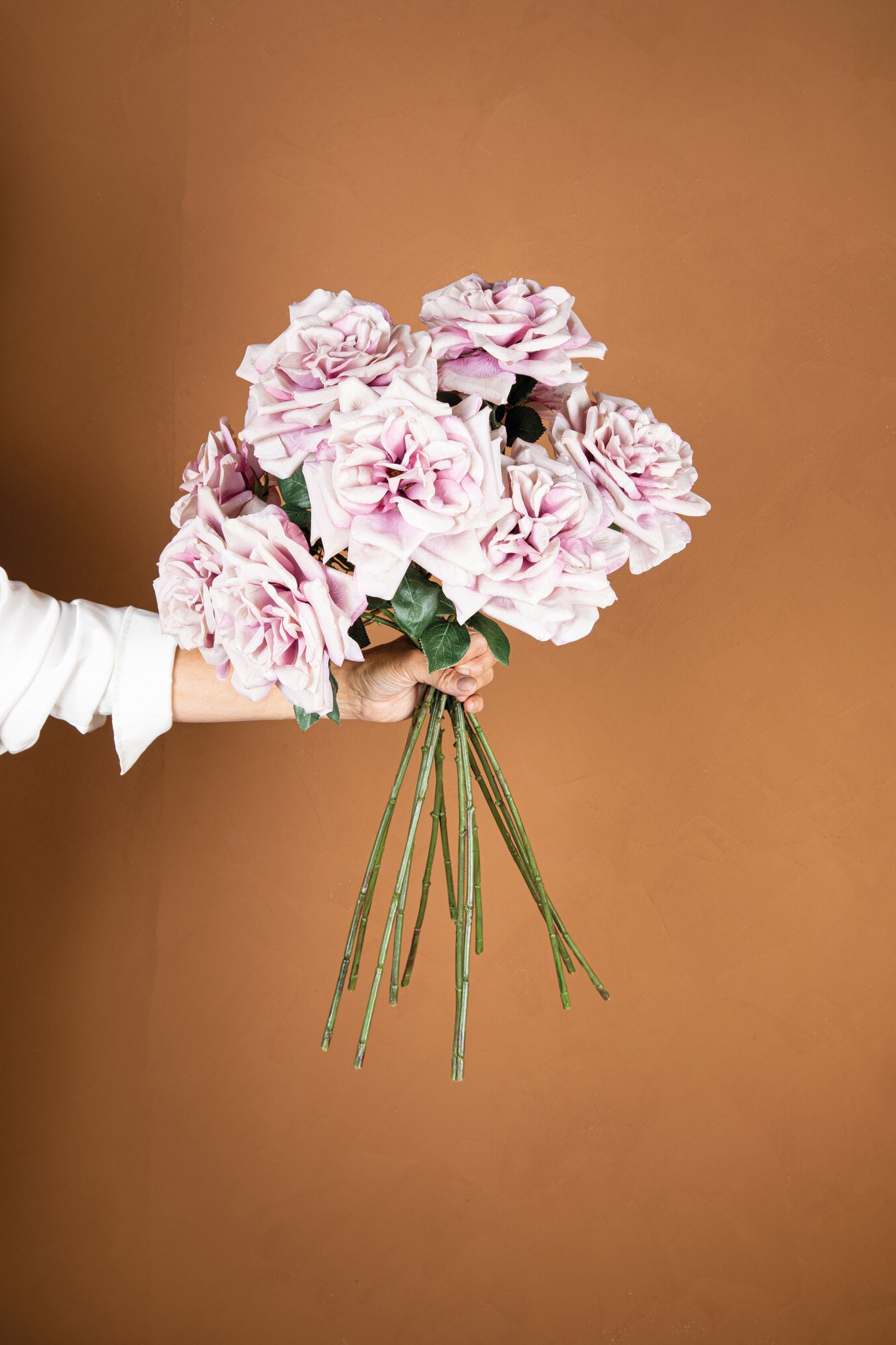 Rose Flower Lilac Rose Spray With Leaves