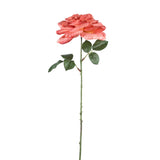 Rose Flower Orange Rose Spray With Leaves