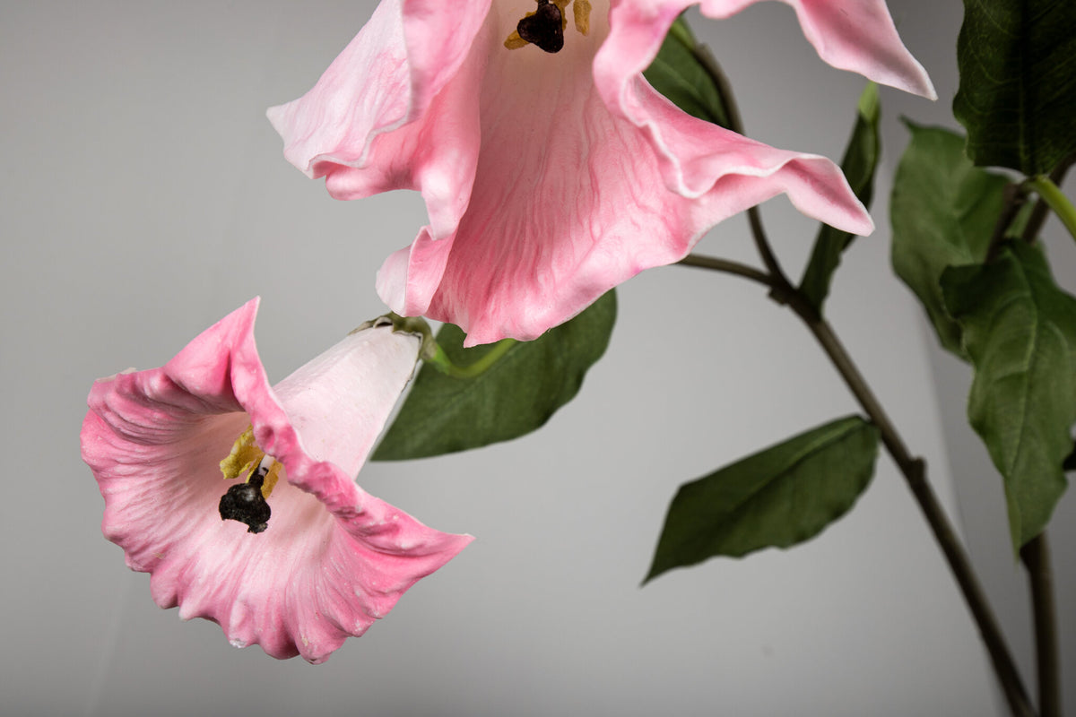 Garden Flower Orange Datura Spray