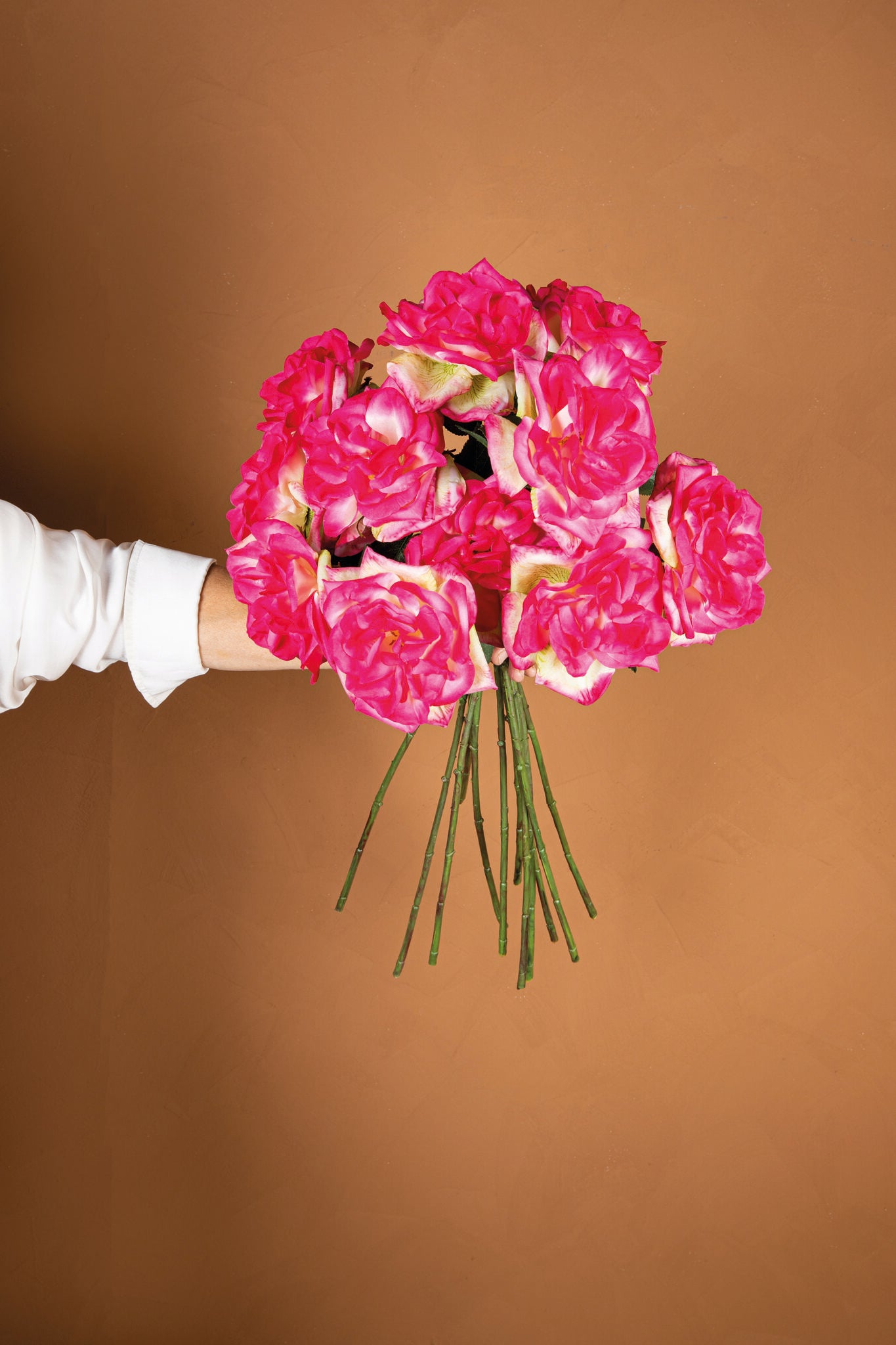 Rose Flower Birght Pink Rose Spray With Leaves