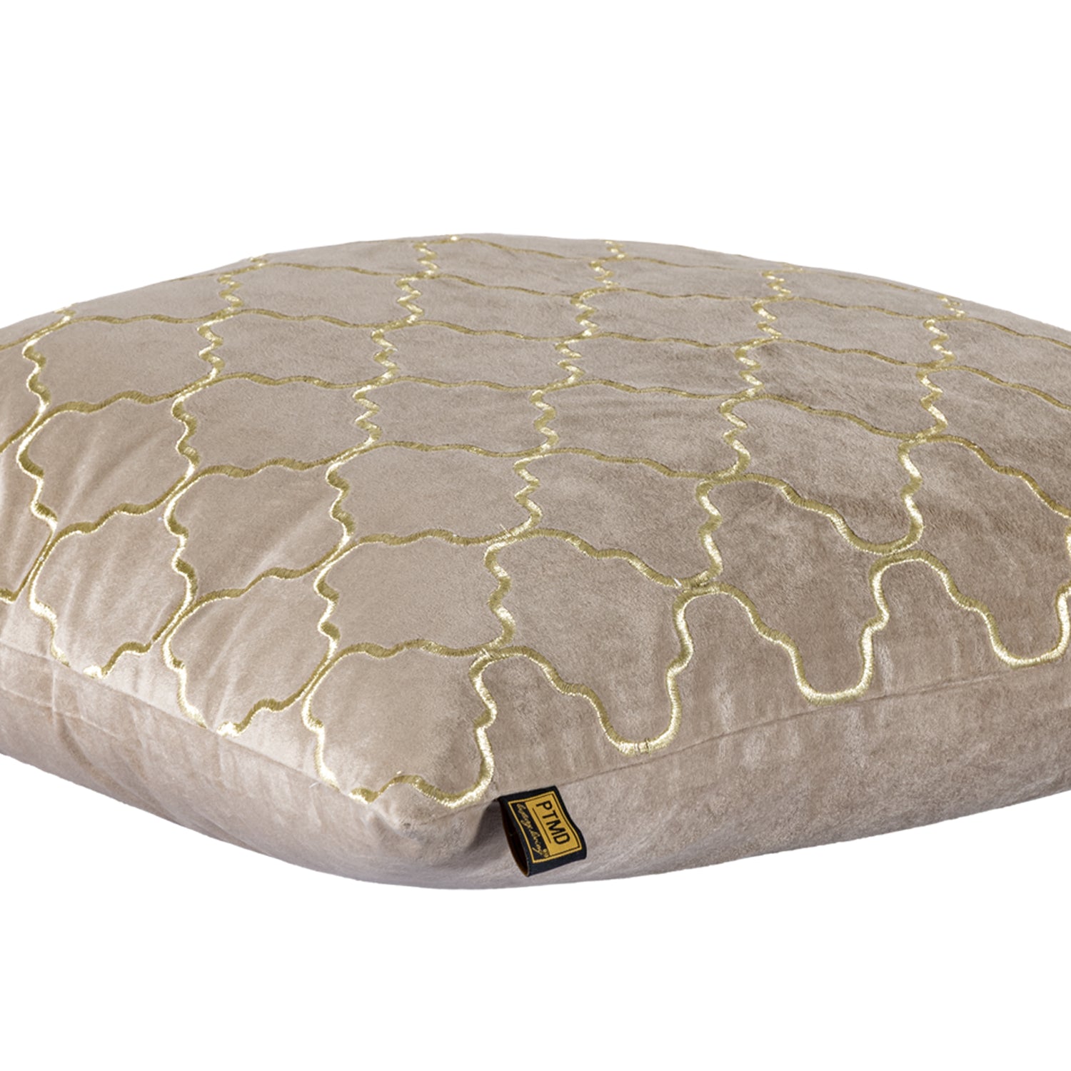 Lizze Beige Velvet Cushion Embroidery Square L