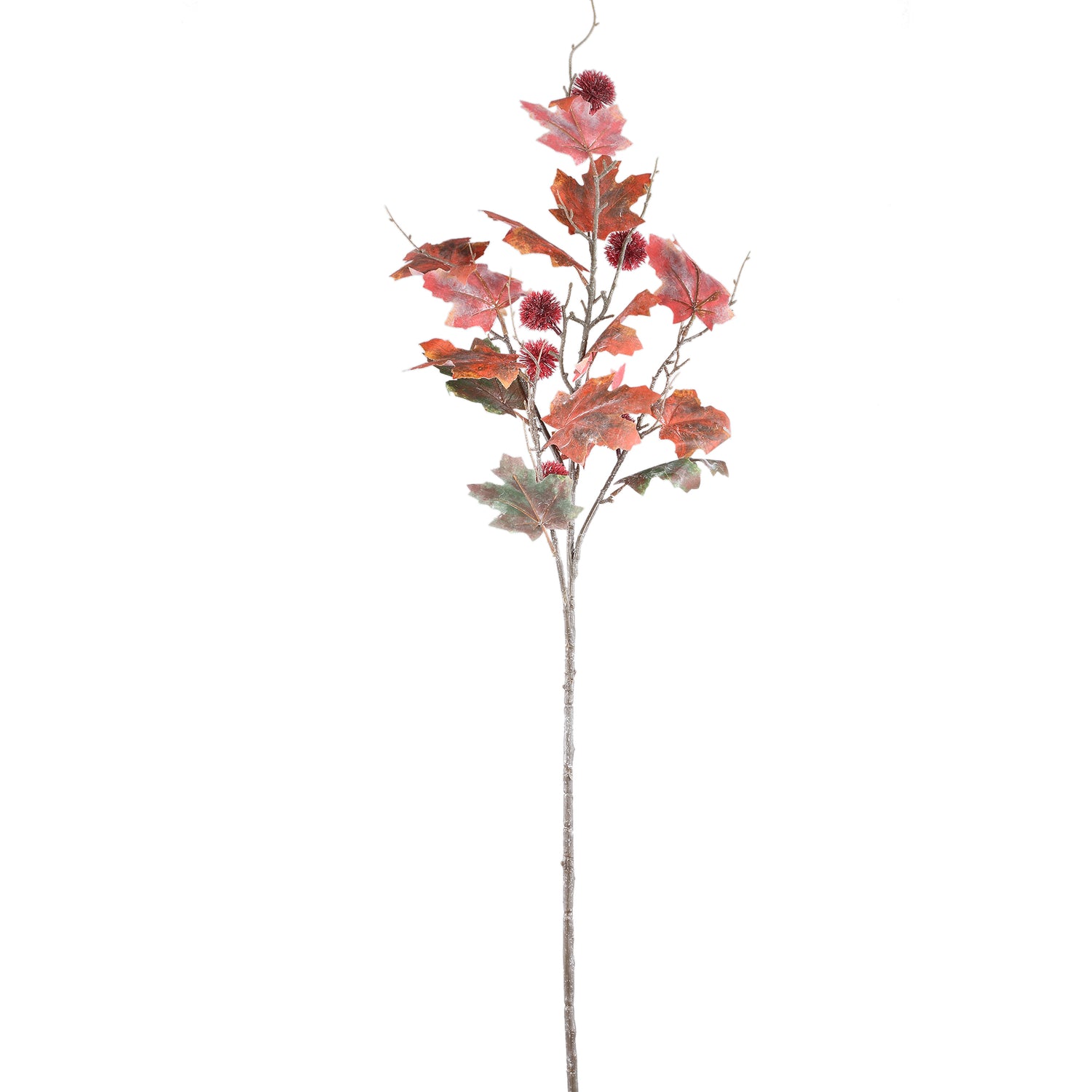 Twig Plant Red Green Maple Spray With Chestnut