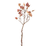 Leaves Plant Red Yellow Maple Leaves Spray