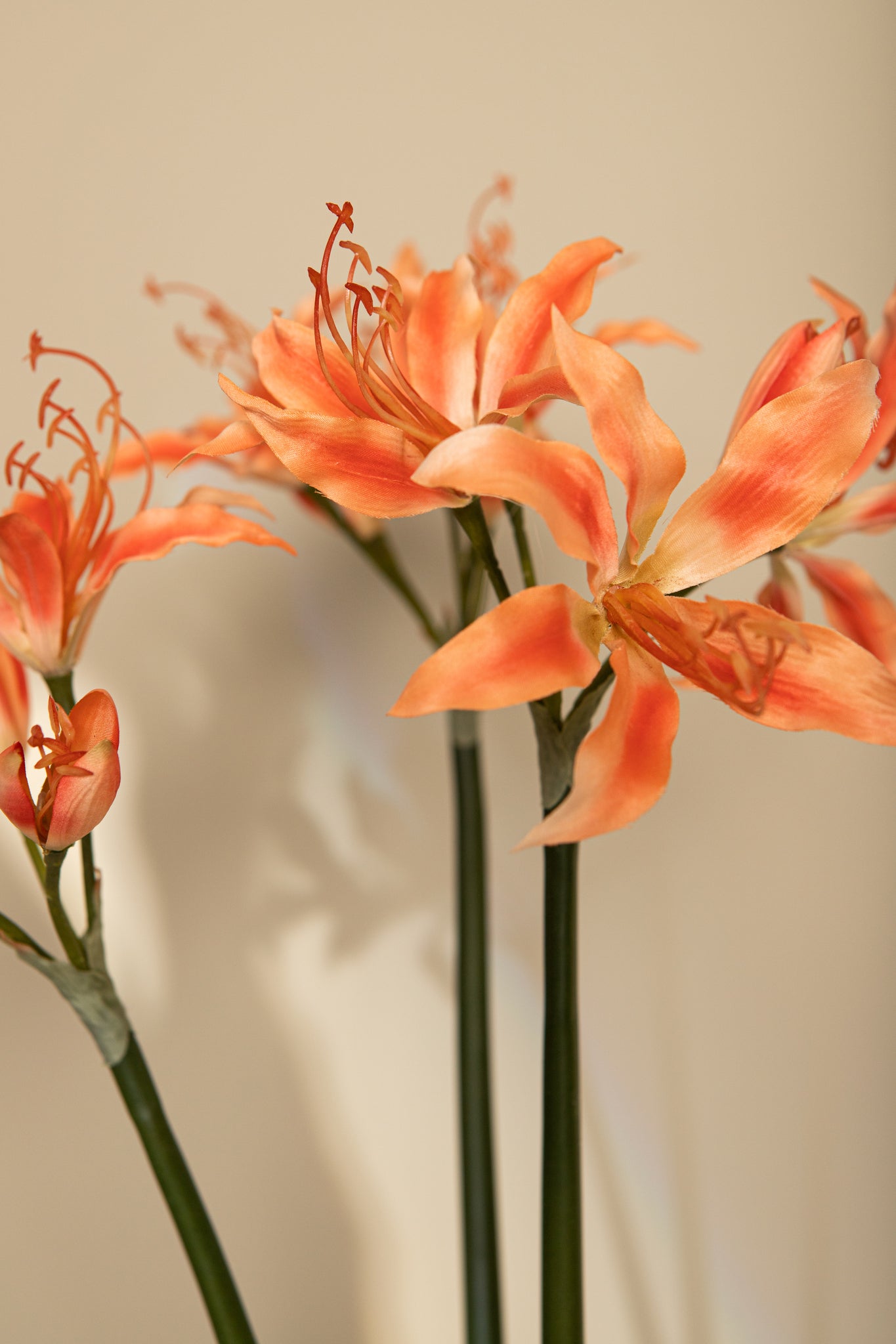 Amaryllis Flower Orange Amaryllis Spray