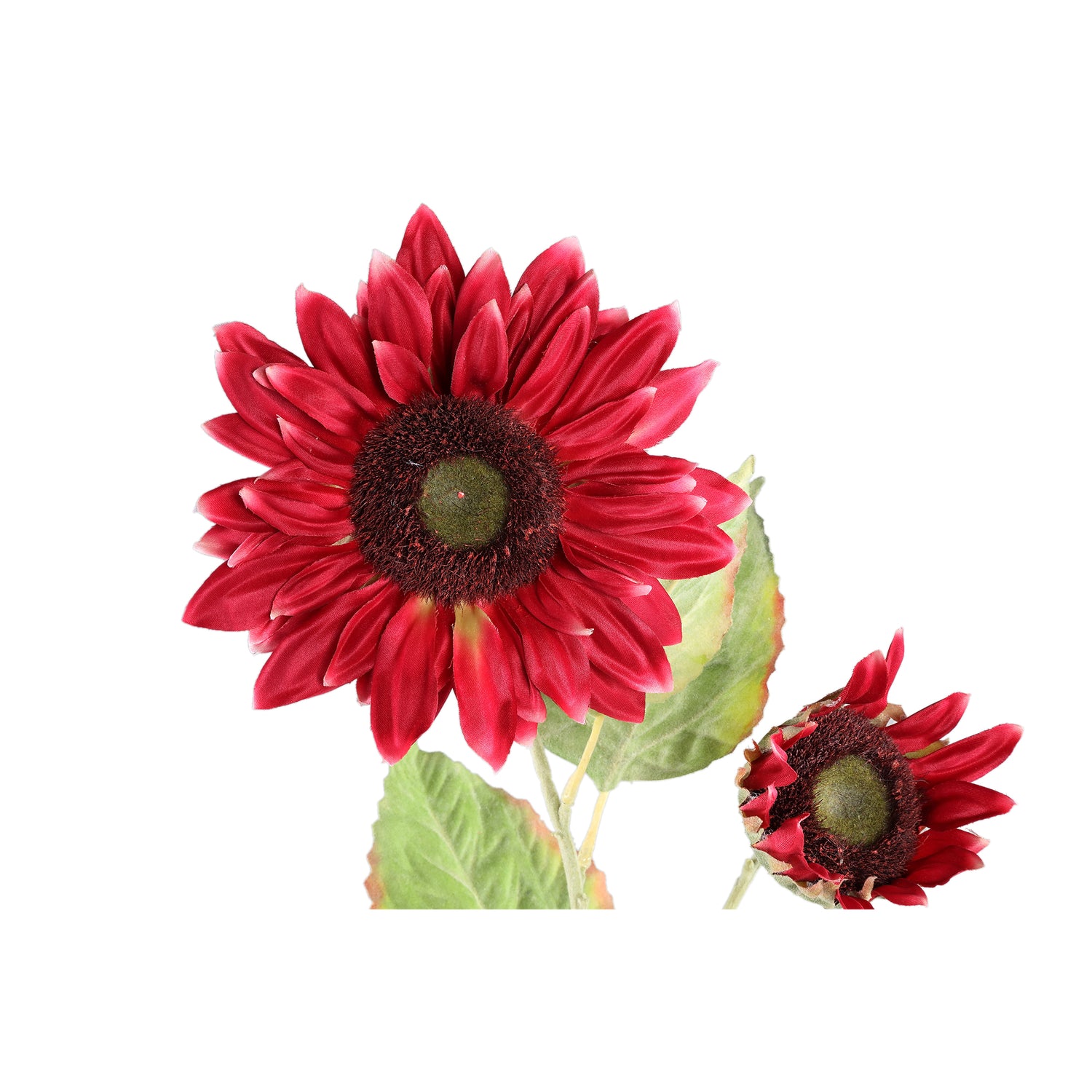 Garden Flower Red Sunflower Stem With Leaves