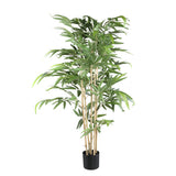Leaves Plant Bamboo Plant With Leaves In Black Pot