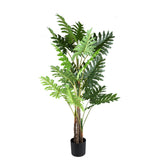 Leaves Plant Green Philodendron In Black Pot L