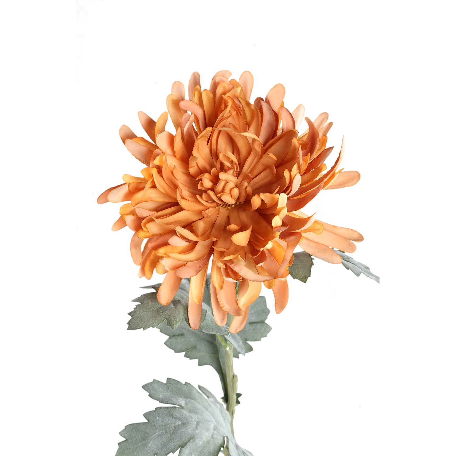 Garden Flower Orange Spider Mum Stem Flocked