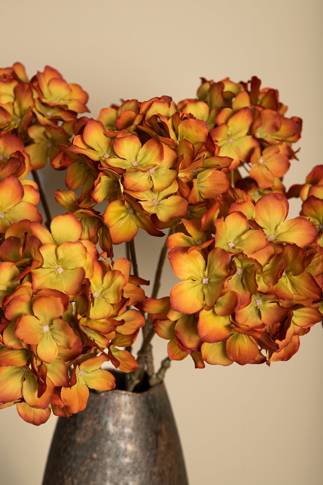 Hydrangea Flower Orange Green Big Single Flower