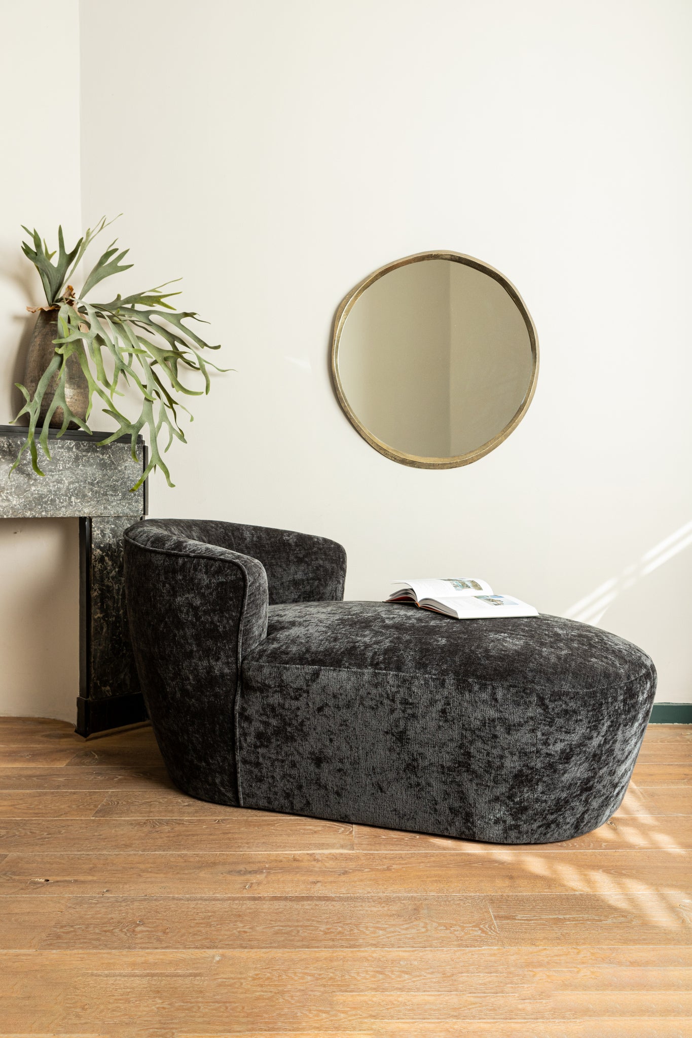 Leaves Plant Green Staghorn On Stem