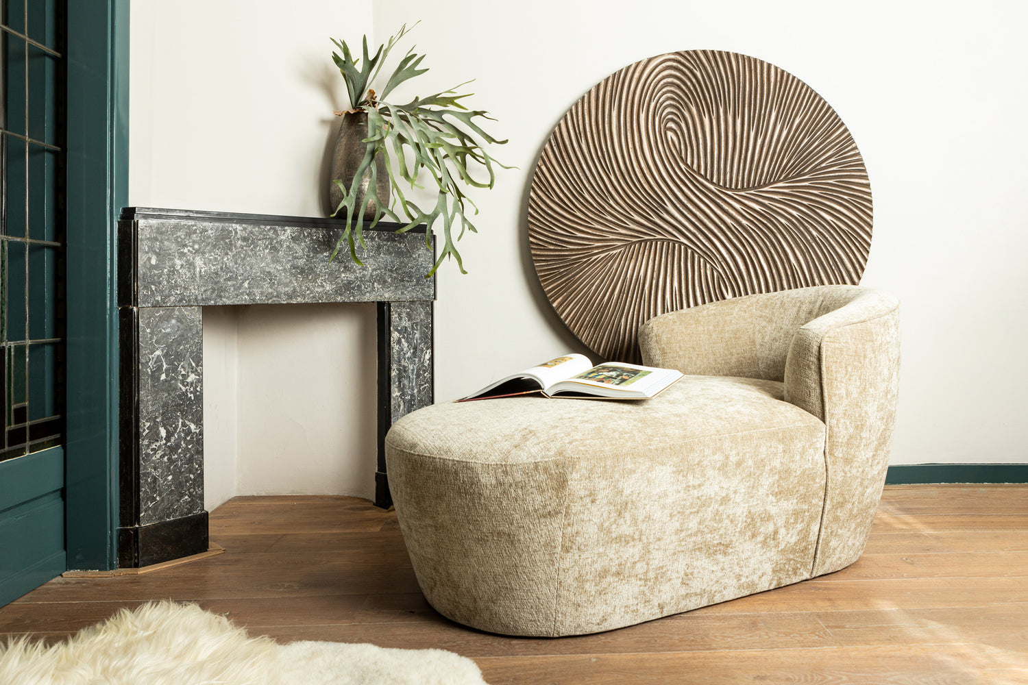 Leaves Plant Green Staghorn On Stem