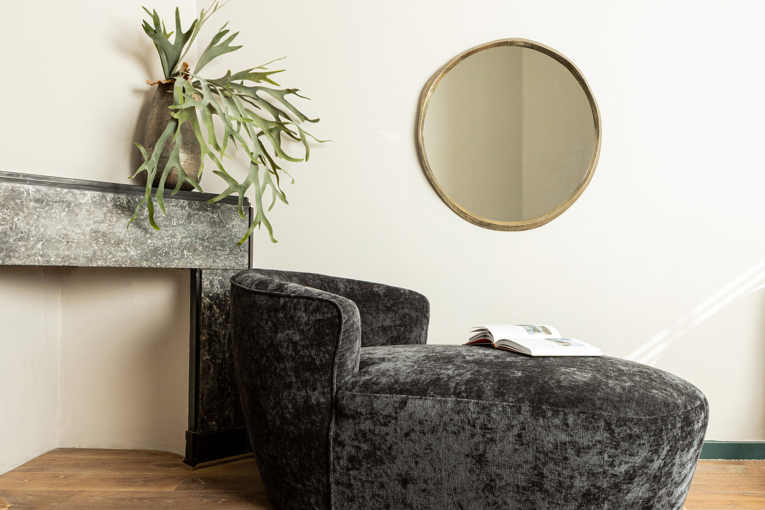 Leaves Plant Green Staghorn On Stem