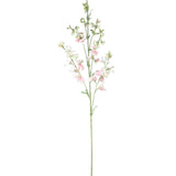 Garden Flower Cream Sweetpea Stem