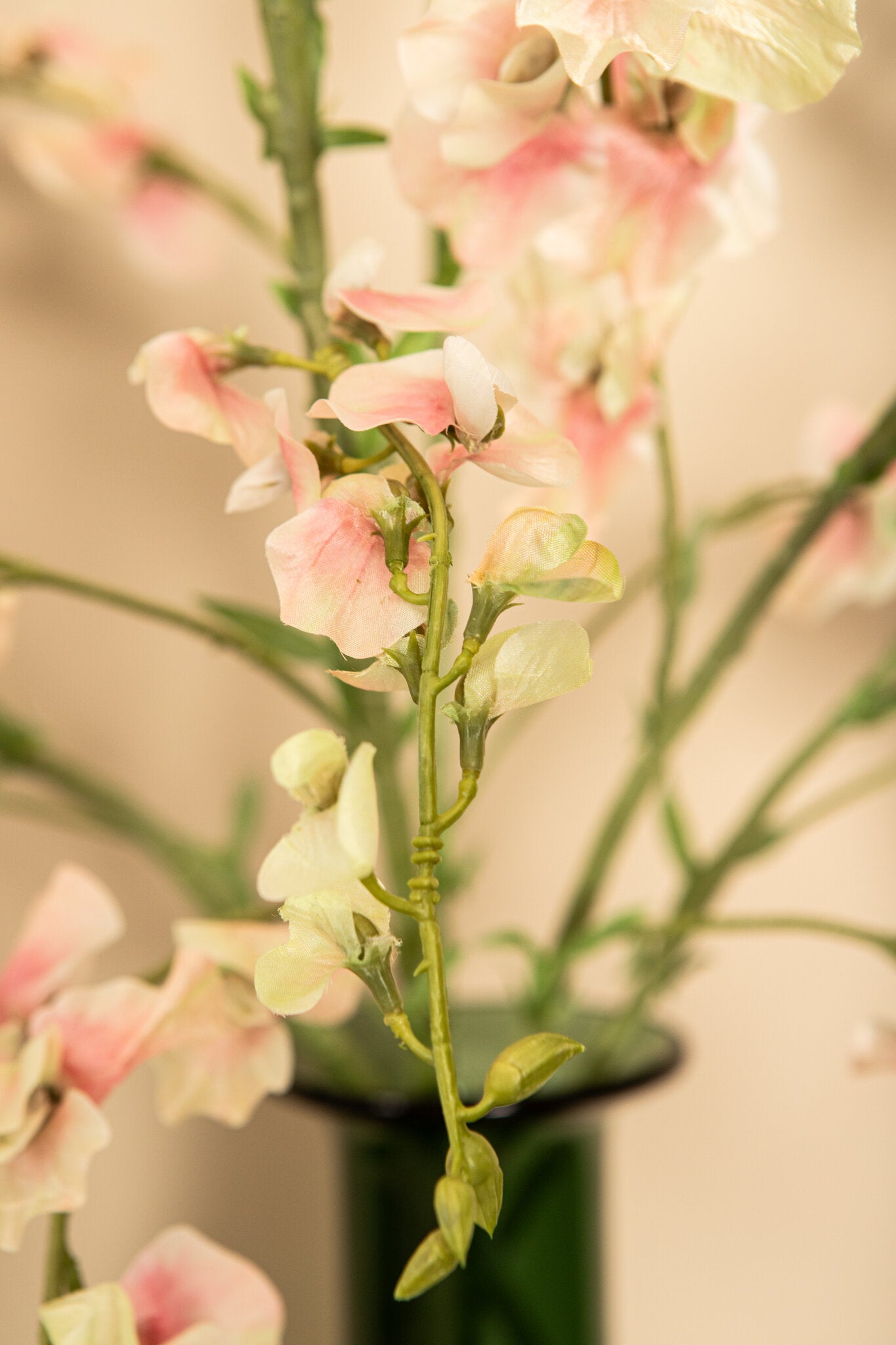 Garden Flower Cream Sweetpea Stem