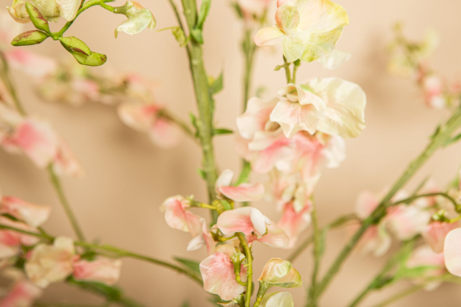Garden Flower Cream Sweetpea Stem