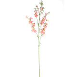 Garden Flower Pink Orange Sweetpea Stem