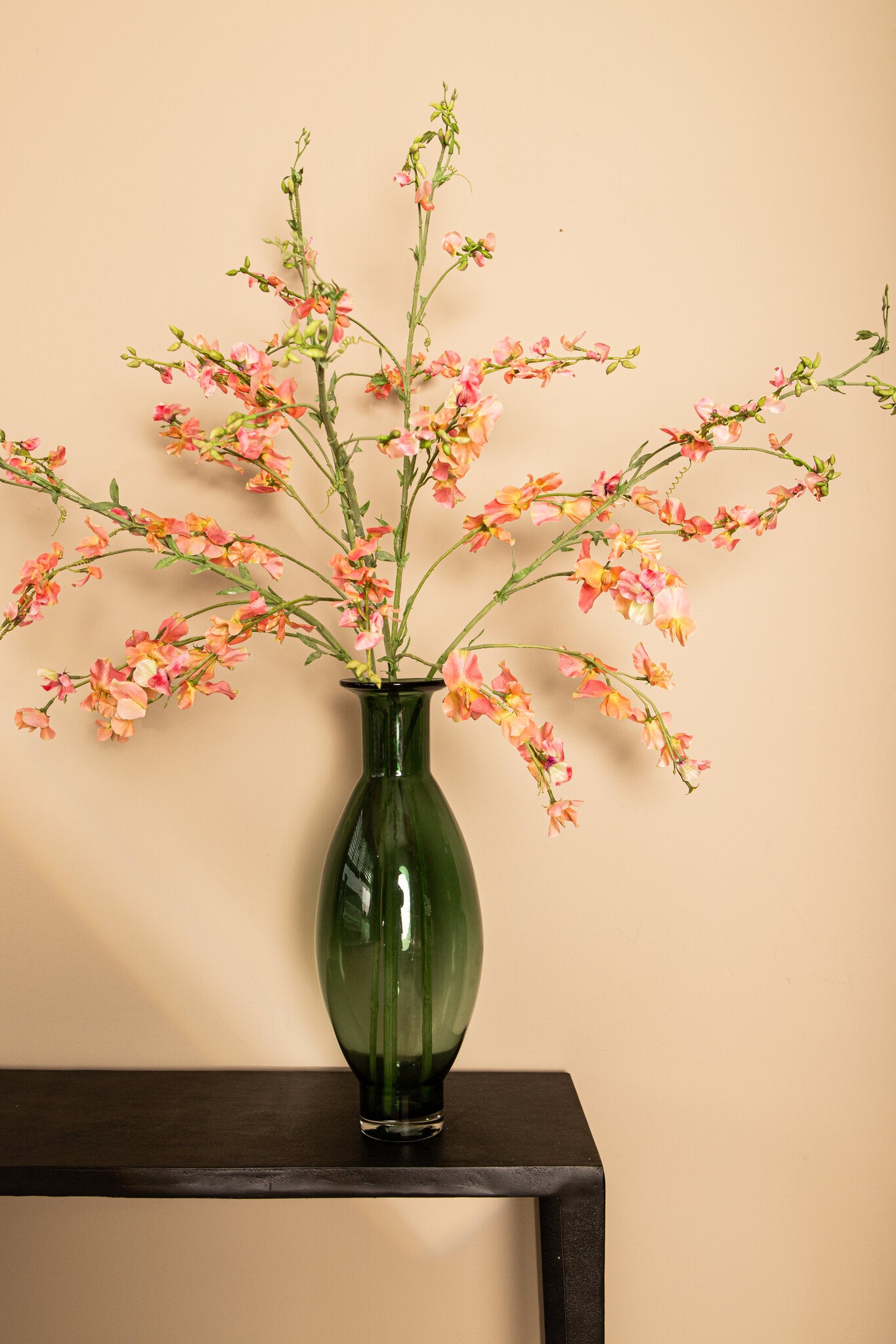Garden Flower Pink Orange Sweetpea Stem