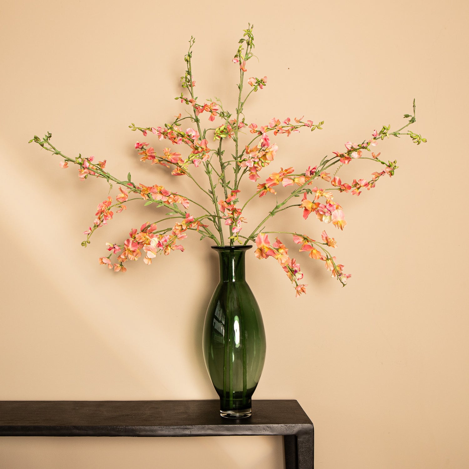 Garden Flower Pink Orange Sweetpea Stem
