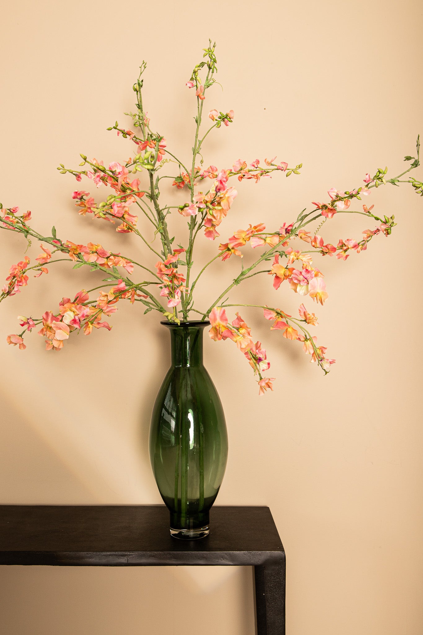 Garden Flower Pink Orange Sweetpea Stem