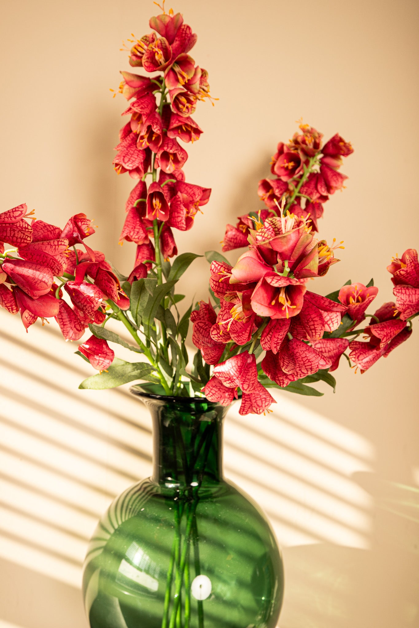 Garden Flower Red Fritillaria With Leaves