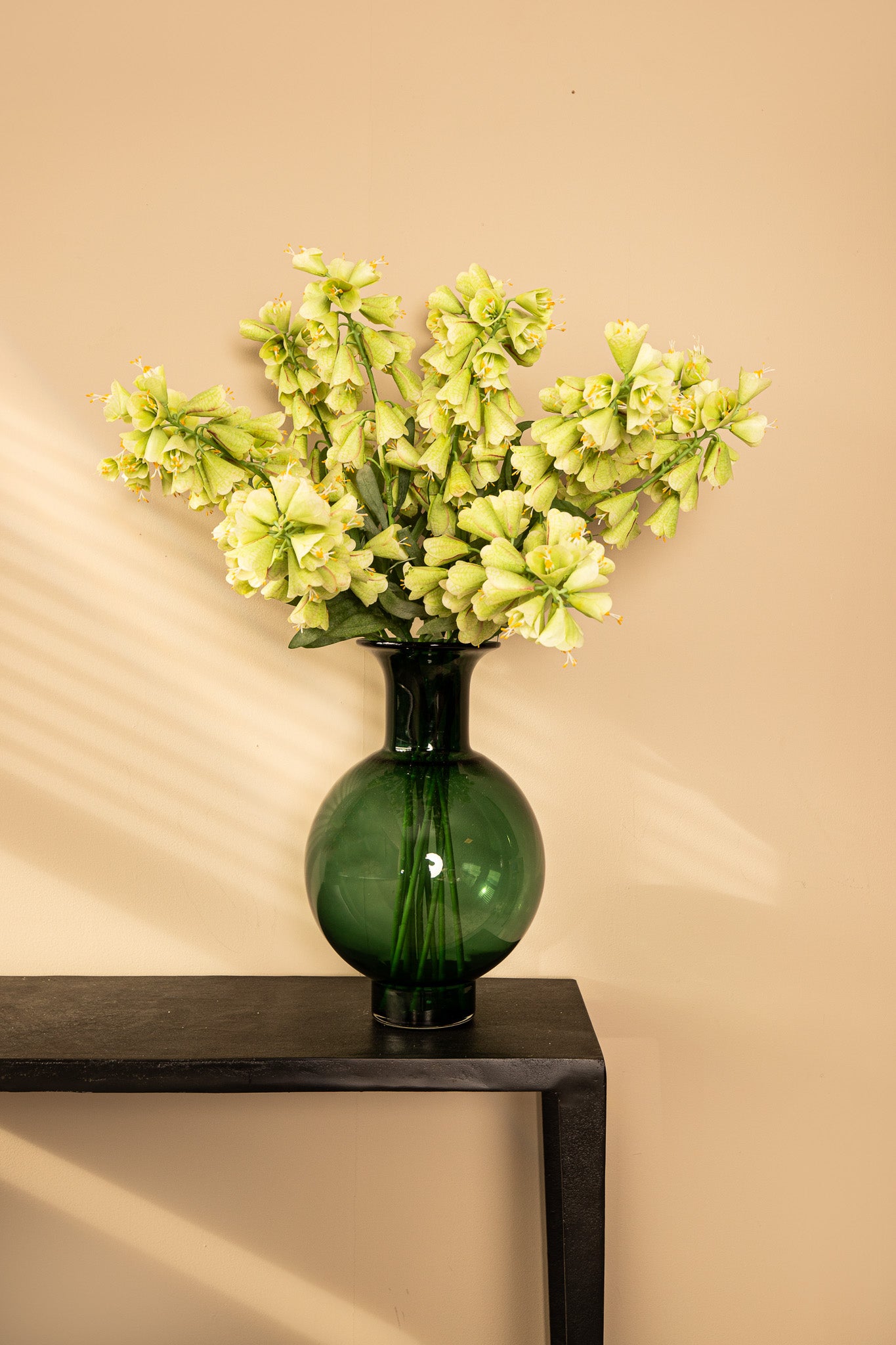 Garden Flower Green Fritillaria With Leaves