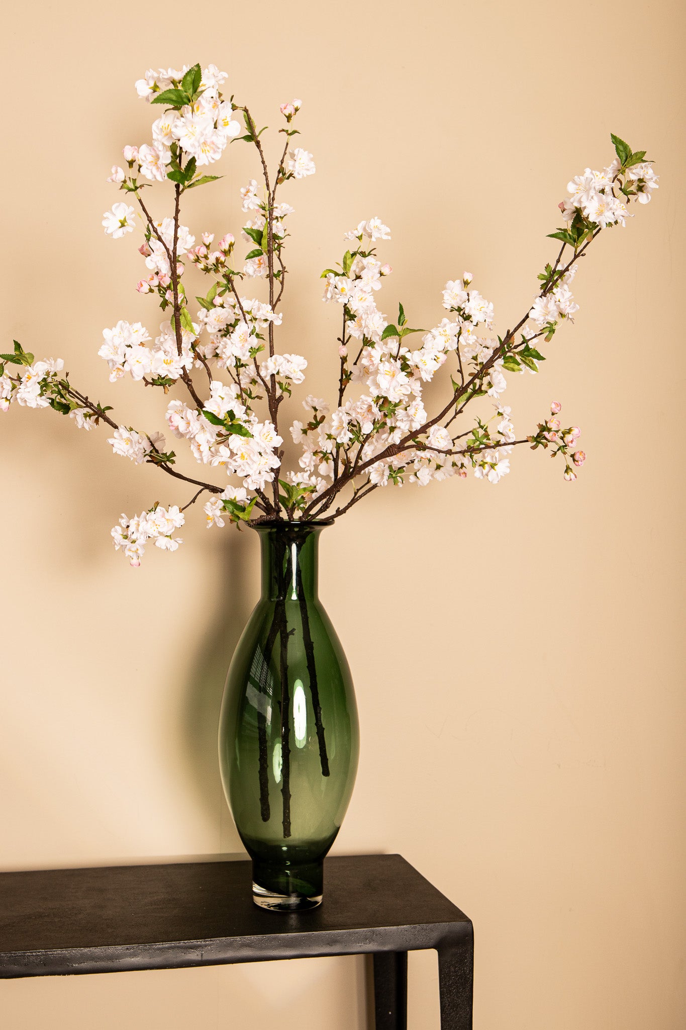Blossom Flower White Plum Blossom Spray High