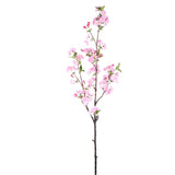 Blossom Flower Pink Plum Blossom Spray High