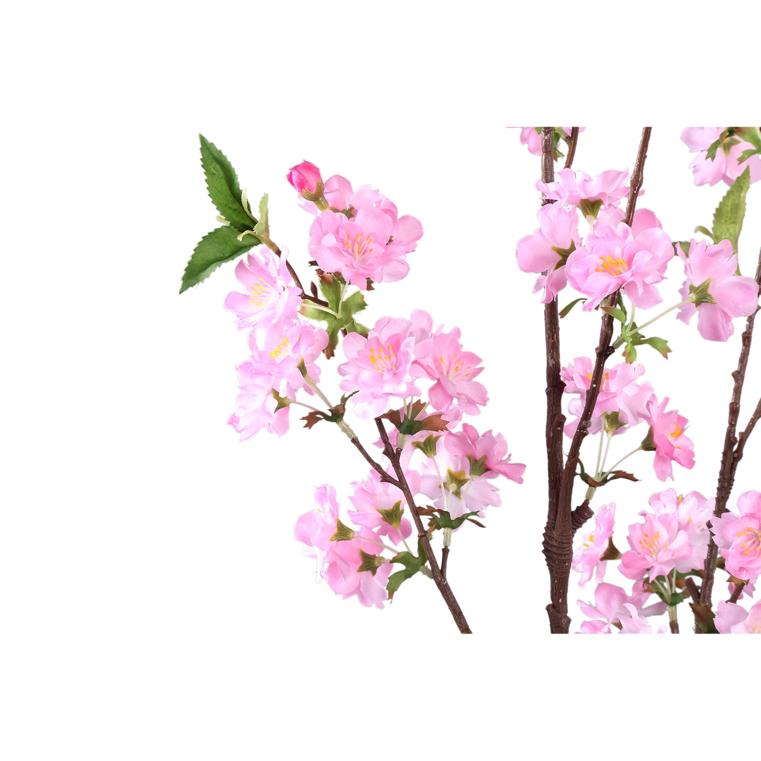 Blossom Flower Pink Plum Blossom Spray High