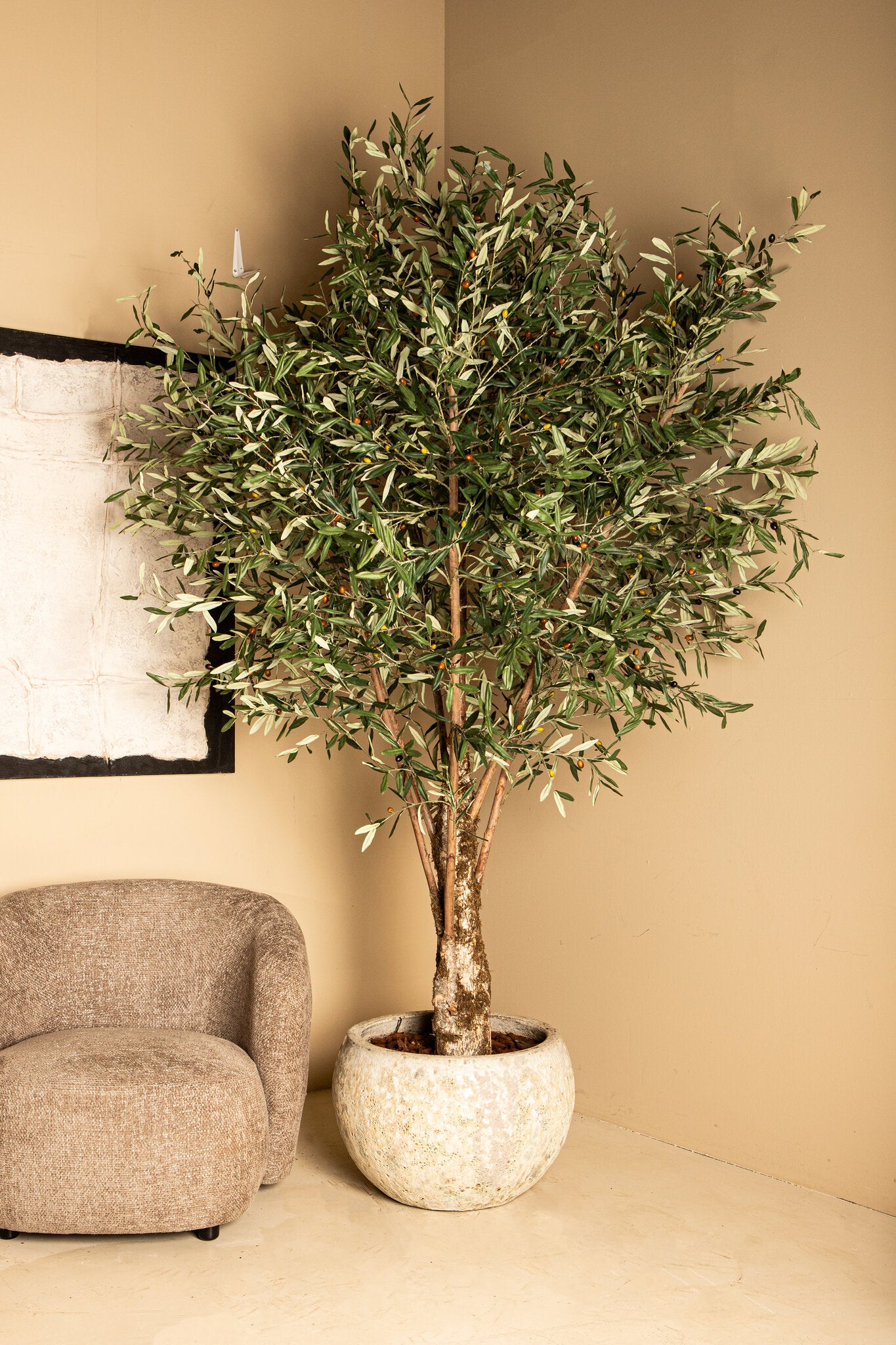 Tree Green Olive Tree In Plastic Pot