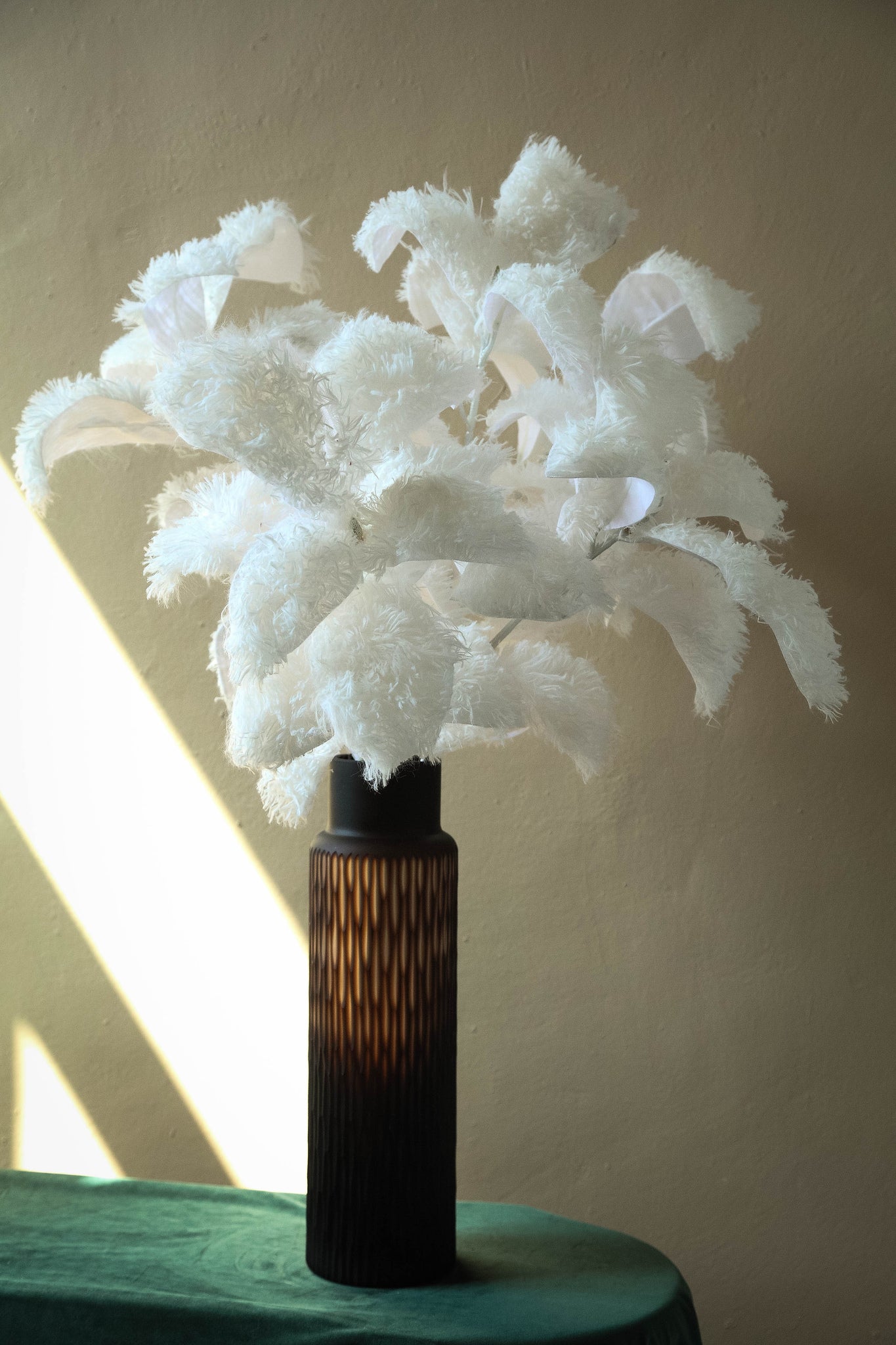 Leaves Plant White Magnolia Leaf Spray Hairy