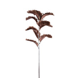 Leaves Plant Brown Magnolia Leaf Spray Hairy
