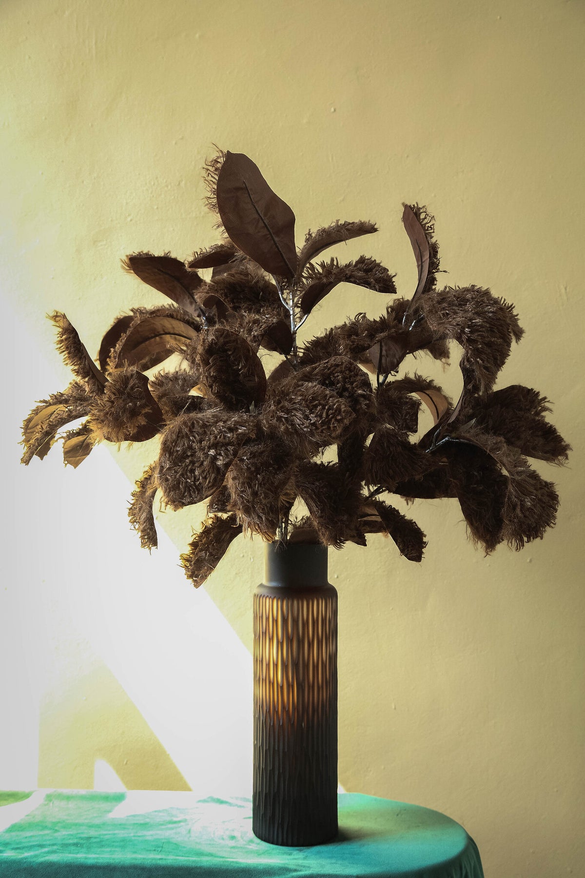 Leaves Plant Brown Magnolia Leaf Spray Hairy