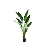 Leaves Plant Green PE Real Touch Strelitzia L