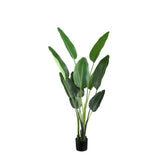 Leaves Plant Green PE Real Touch Strelitzia M